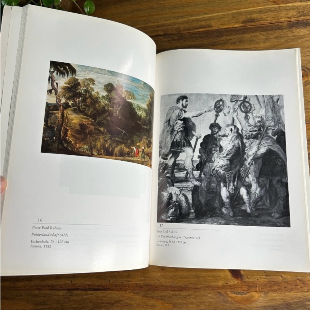 Peter Paul Rubens Art Book 1975 in German - Picture 4 of 10